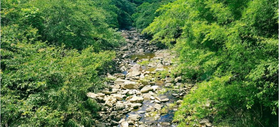 【河溪自然守護計畫】 讓人與自然能夠溫柔相待，平衡共生！