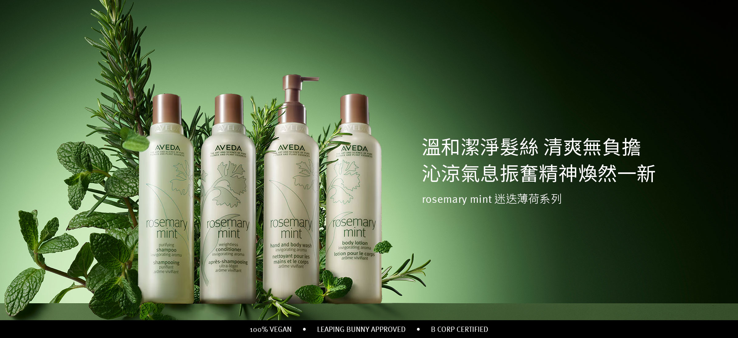 迷迭薄荷系列