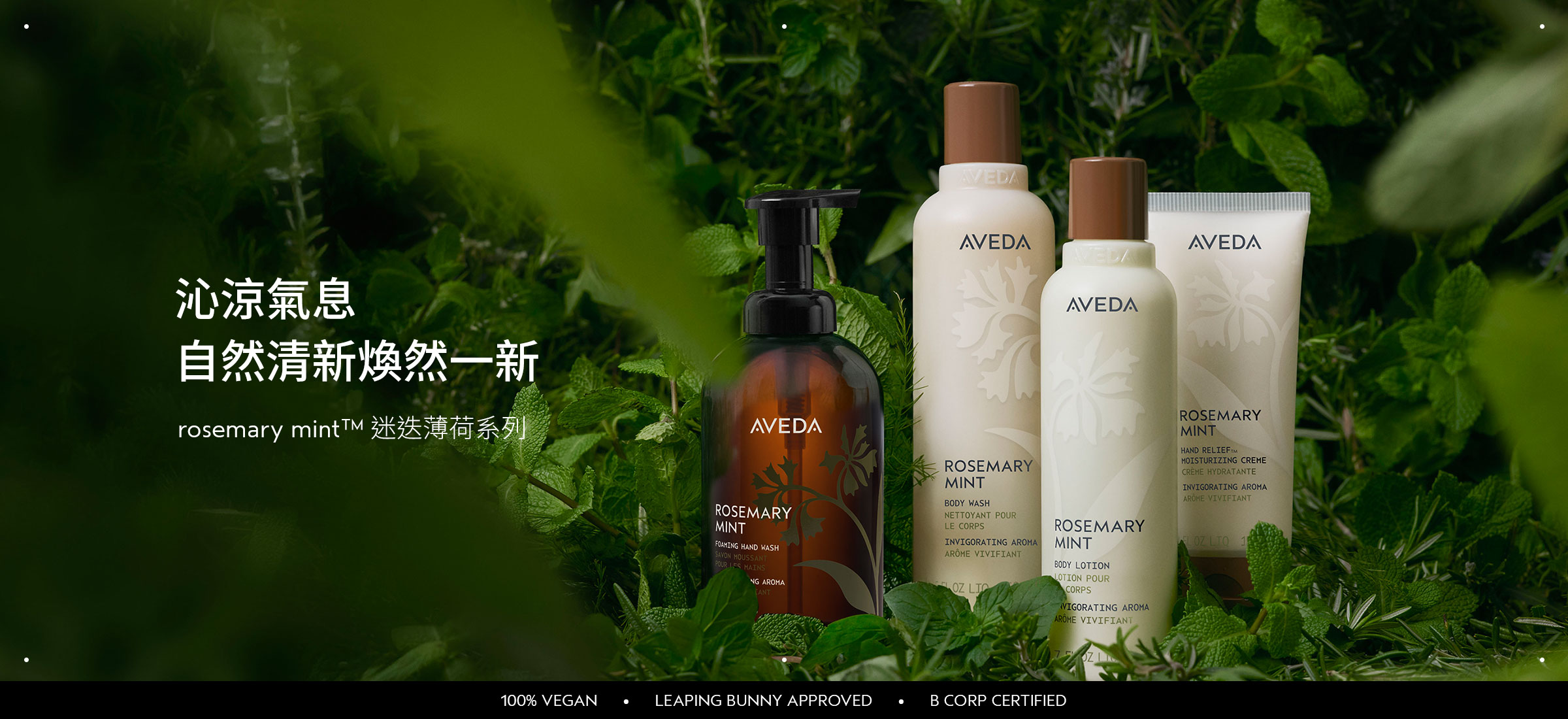 迷迭薄荷系列