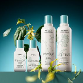 【官網限定】AVEDA 純香洗潤增量組