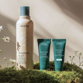 【官網雙11限定】AVEDA 純香強韌洗護組