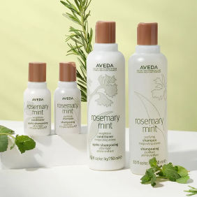 【官網限定】AVEDA 迷迭薄荷洗潤增量組
