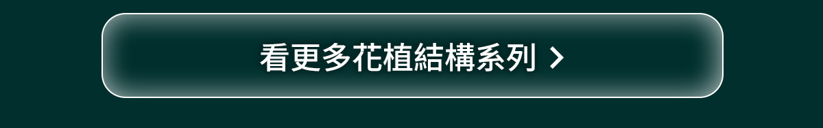 花植結構系列